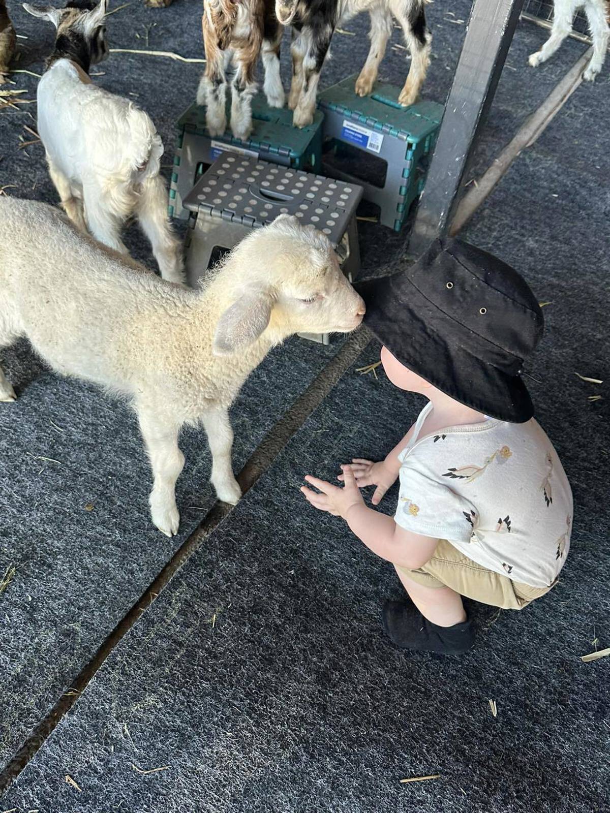 GrowingTree Early Education