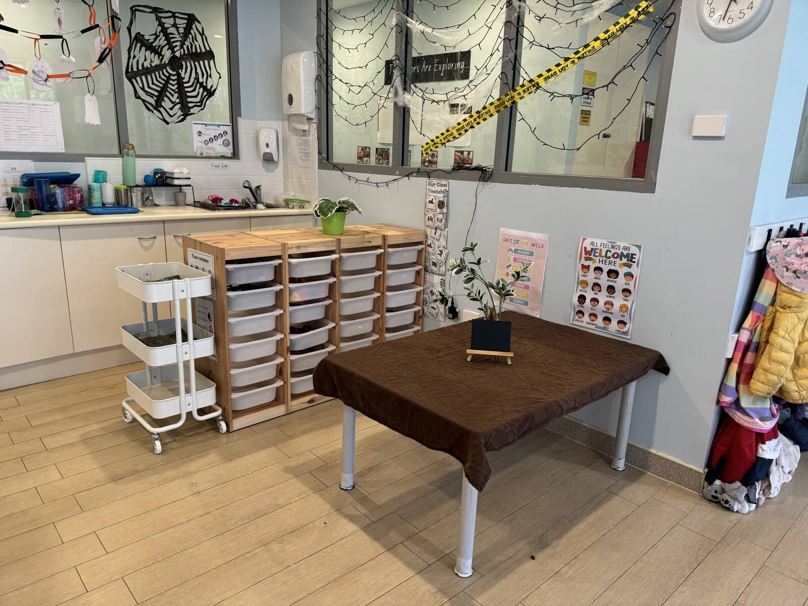 Little Sprouts Early Education Zetland