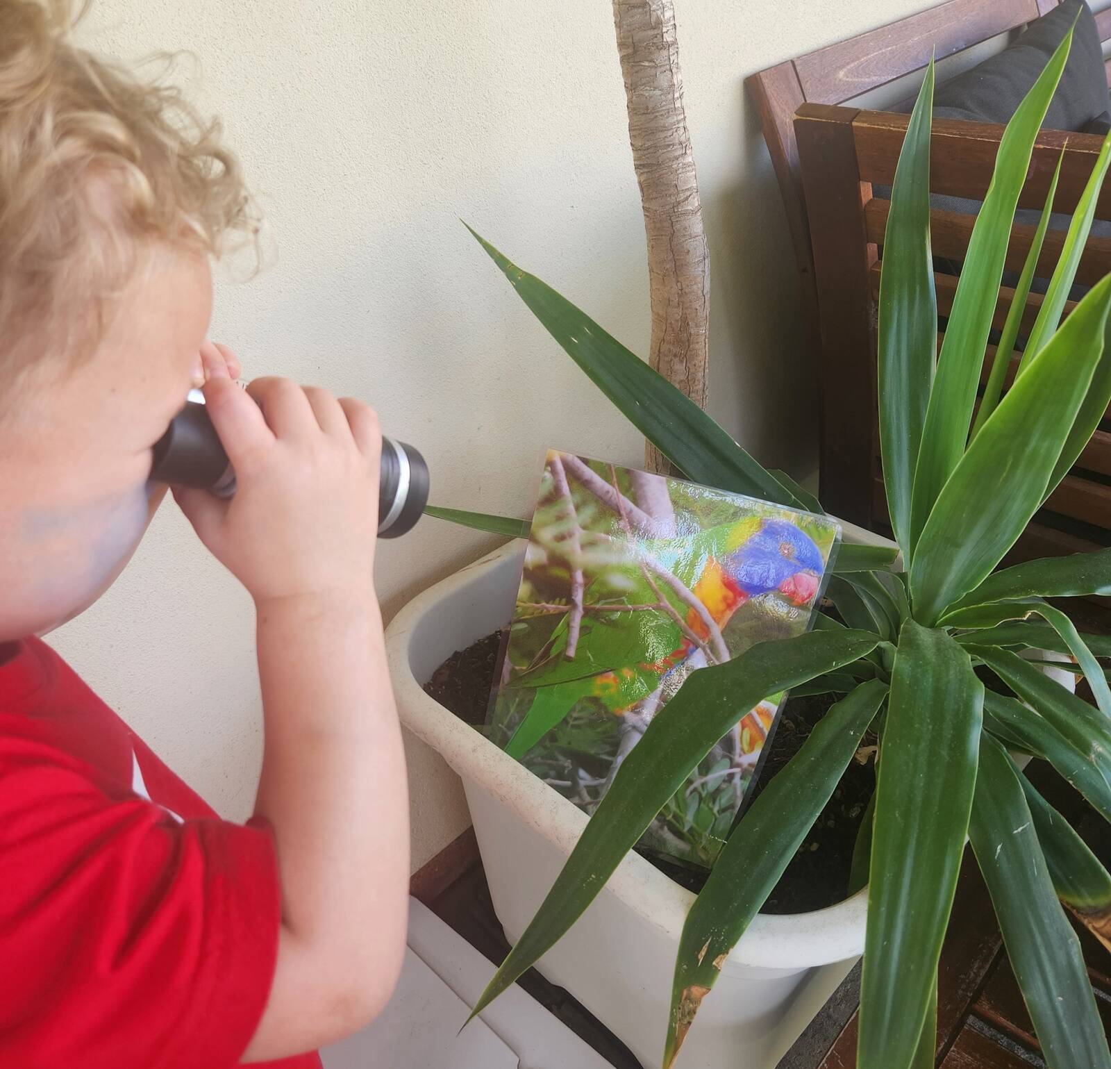 Tiny Turtles Family Day care 