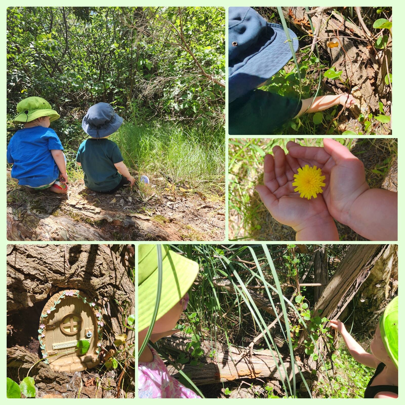 Tiny Turtles Family Day care 