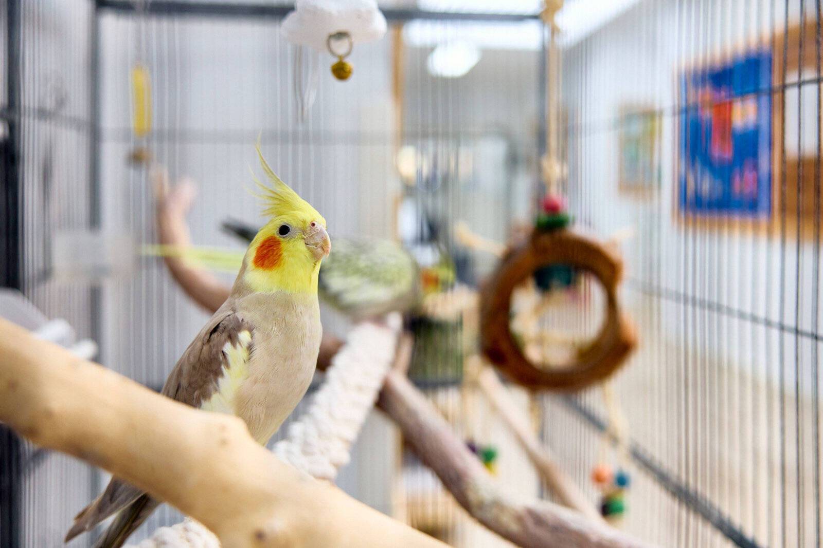 Goodstart Early Learning Bundoora - Plenty Road