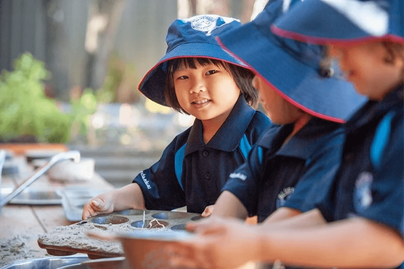 Bluebird Early Education Cameron Park