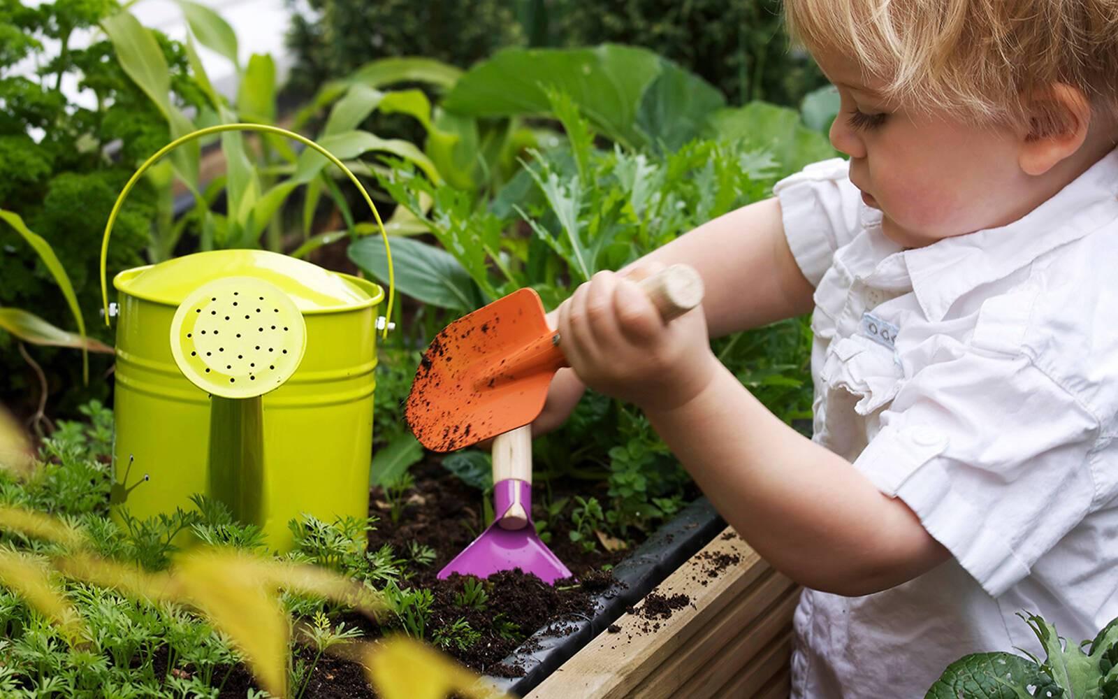 Little Wildflower School