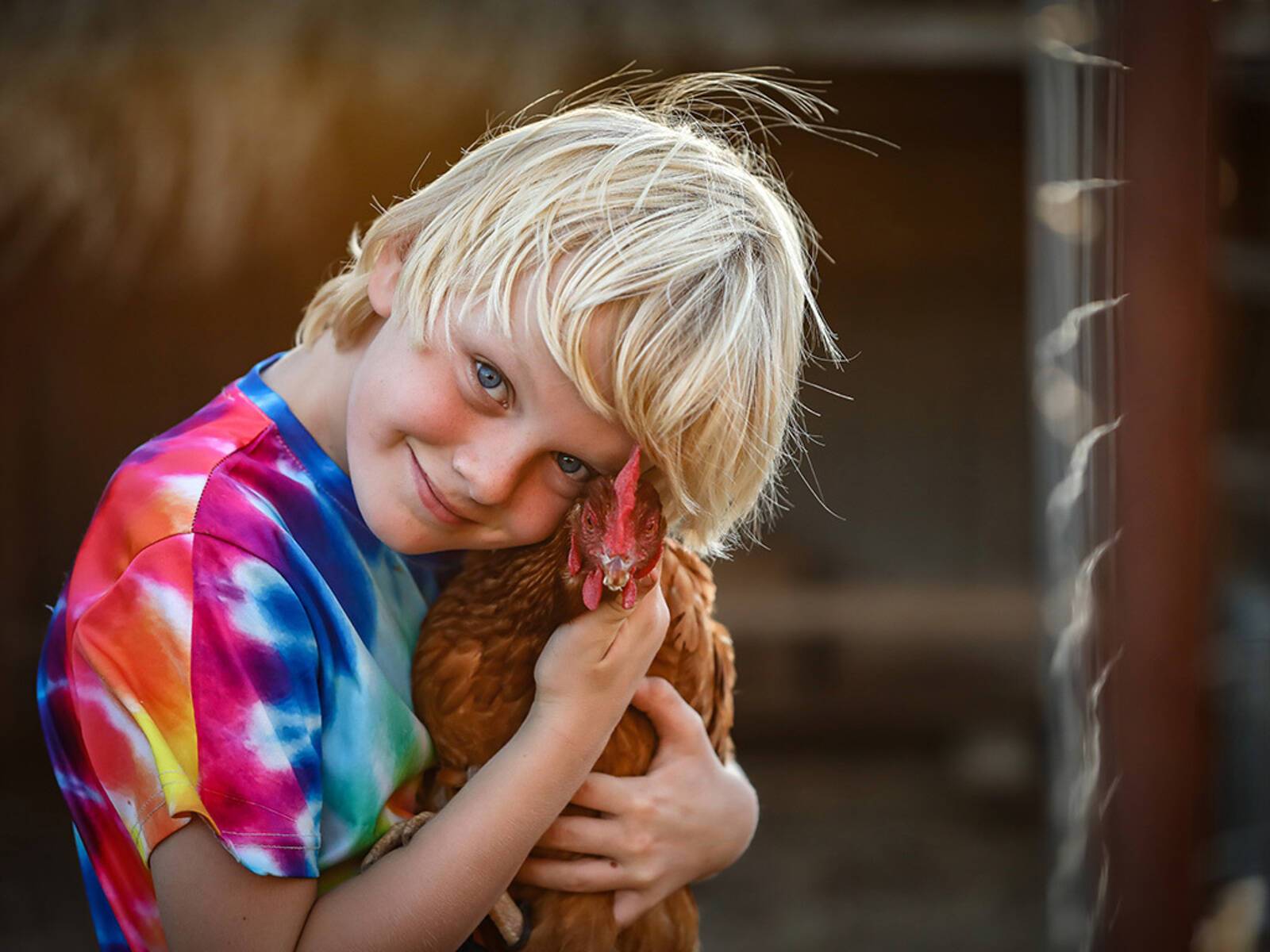Little Wildflower School