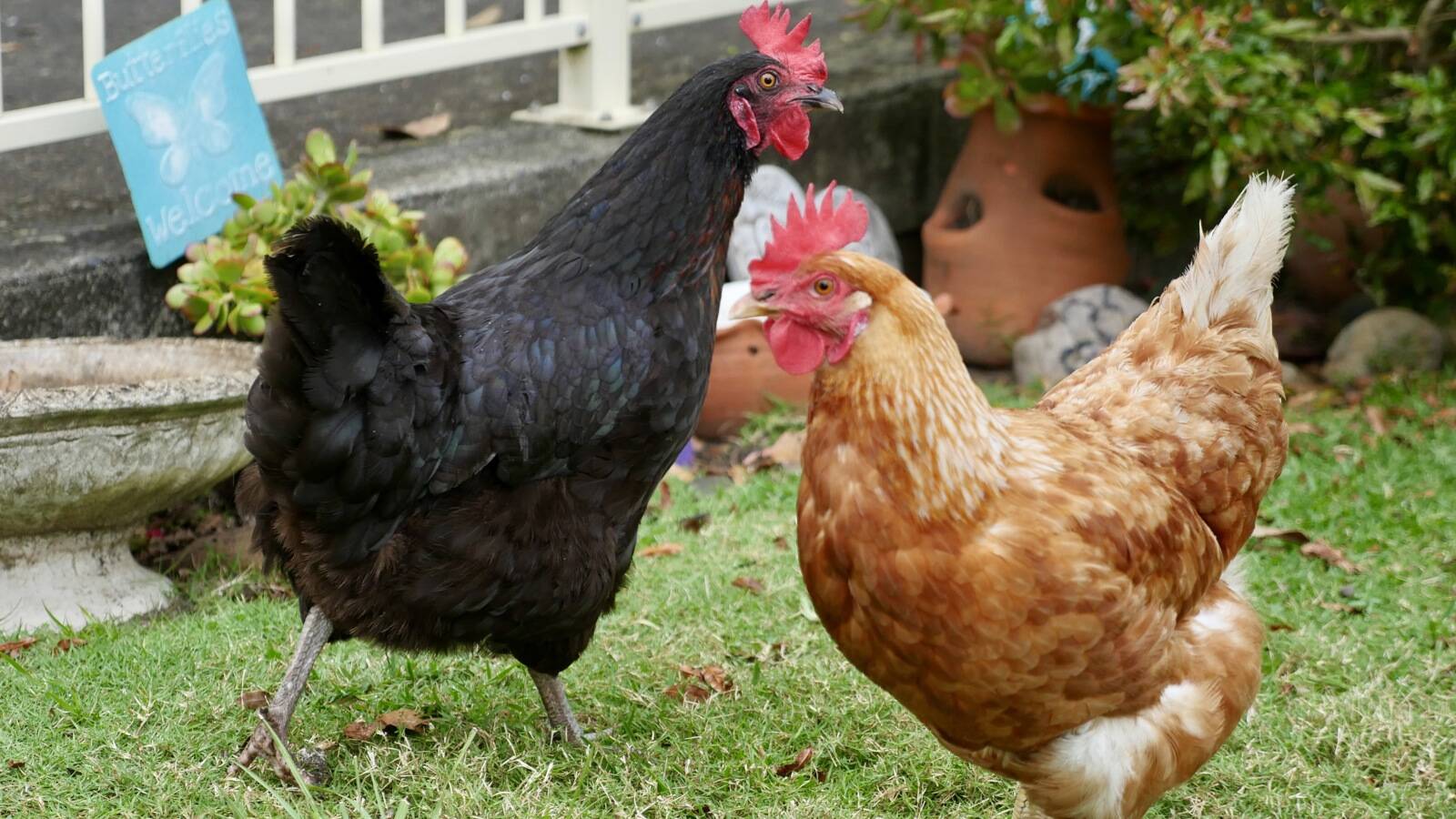 Parklands Community Pre-School and Children's Centre