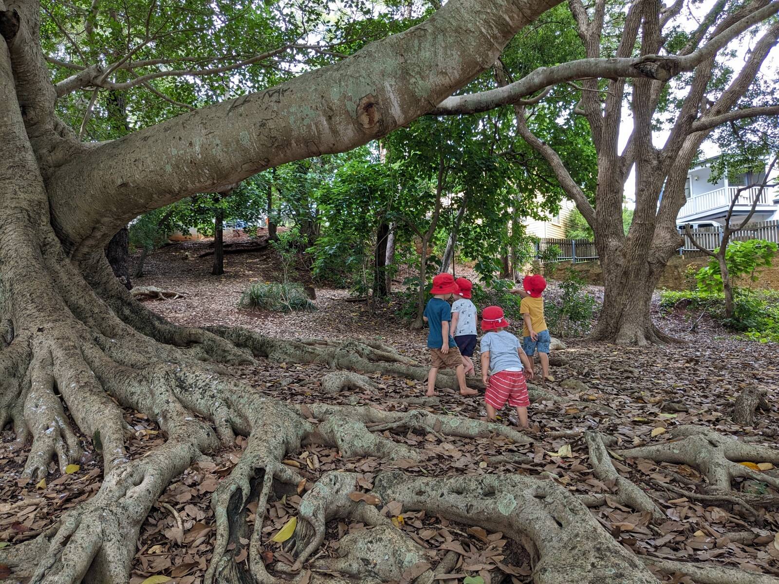 Donna's Family Day Care