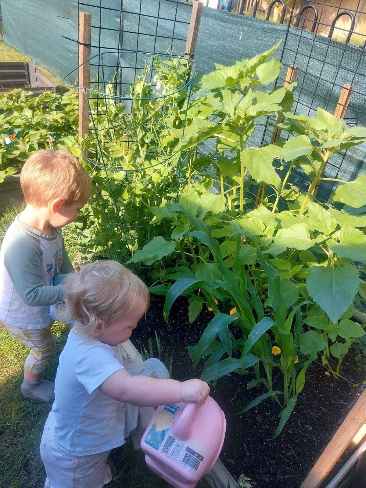 The Burrow Family Day Care