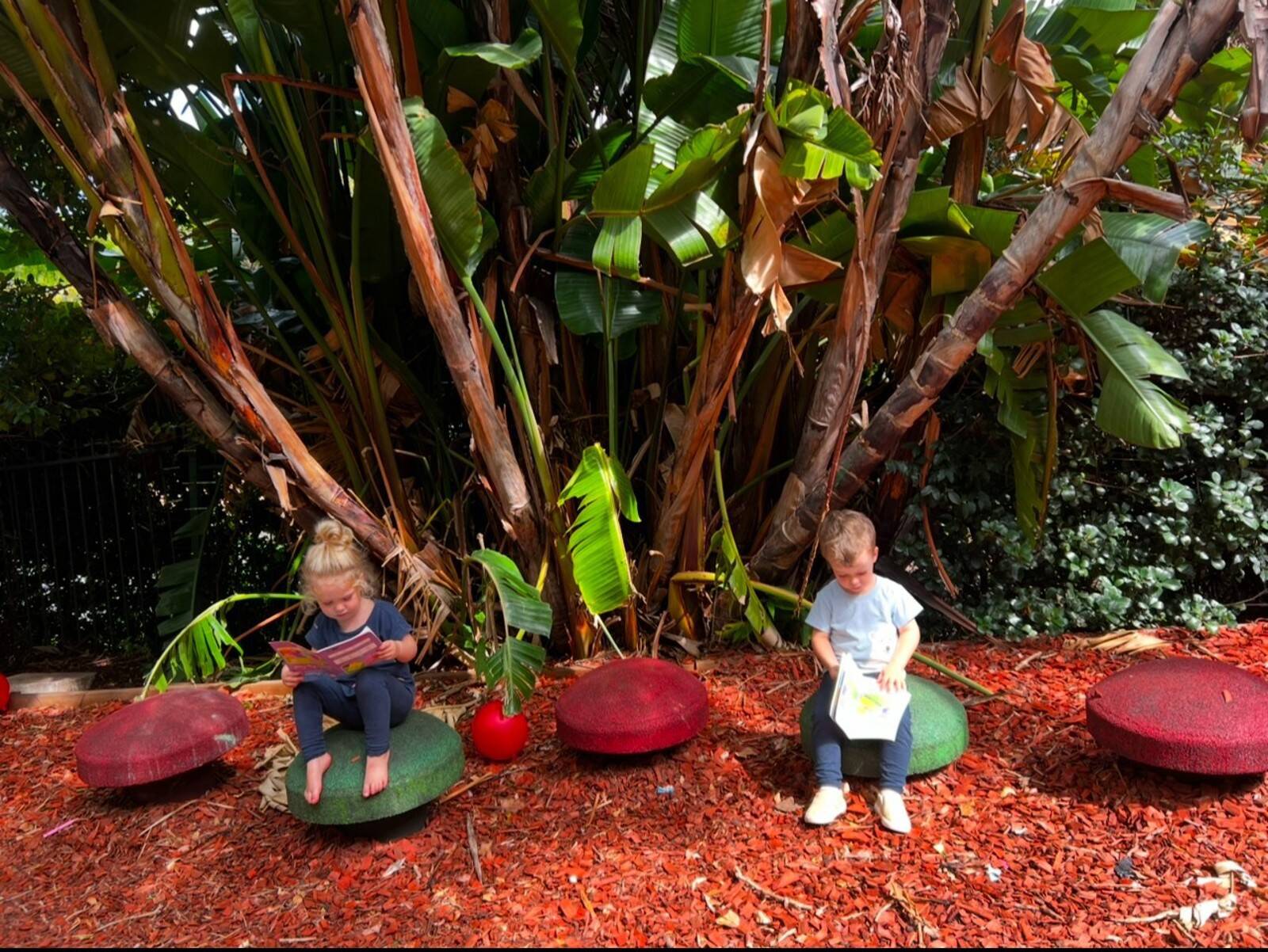 Lavender Bay Preschool