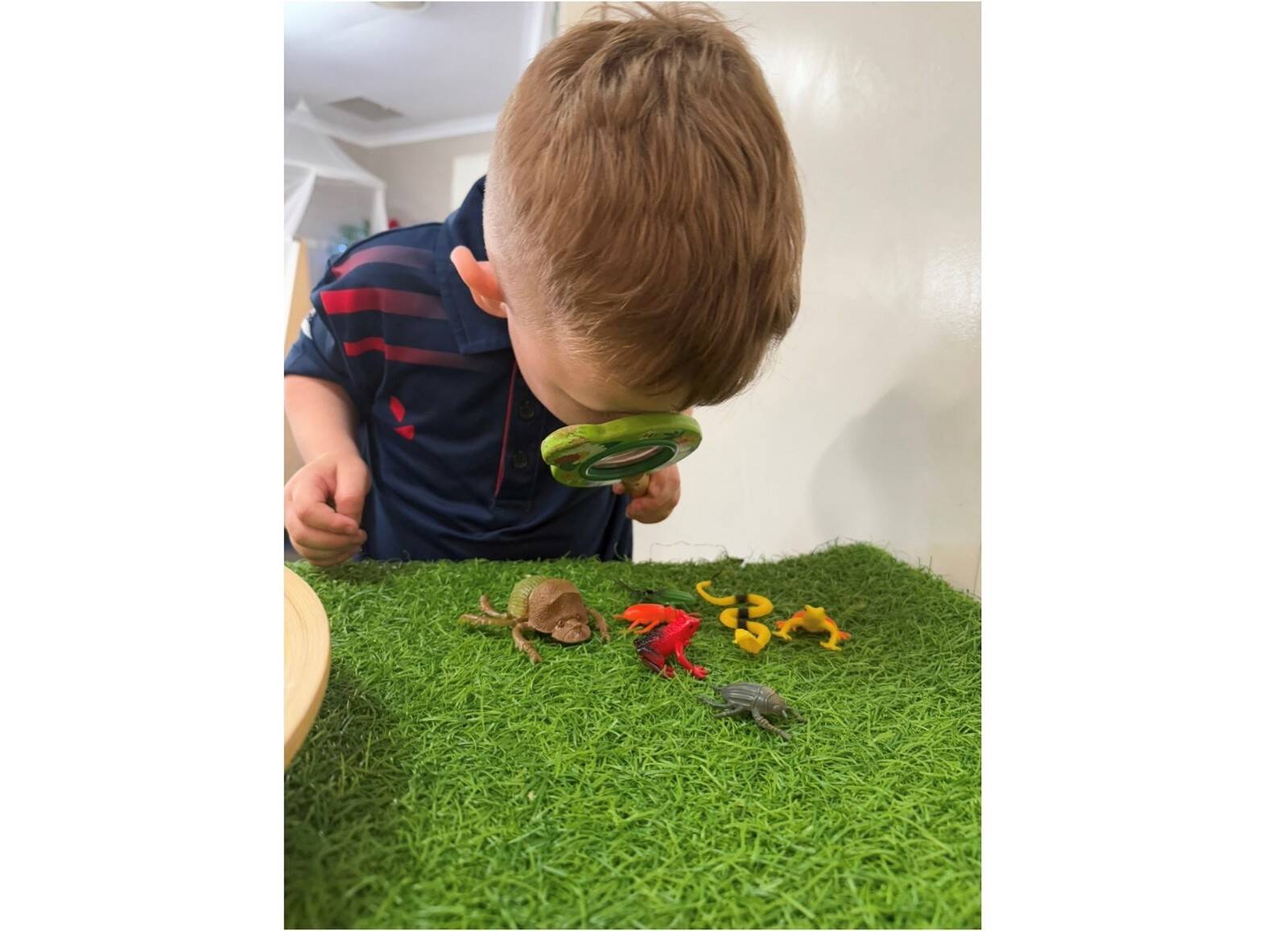 Tiny Treasures Academy