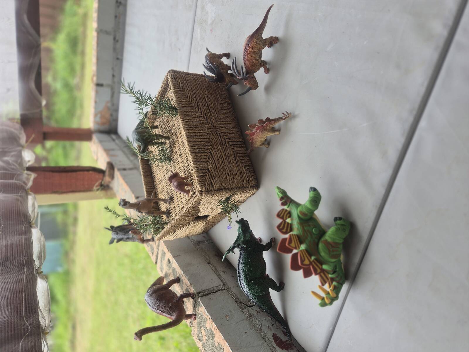 Sunflowers Family Day Care