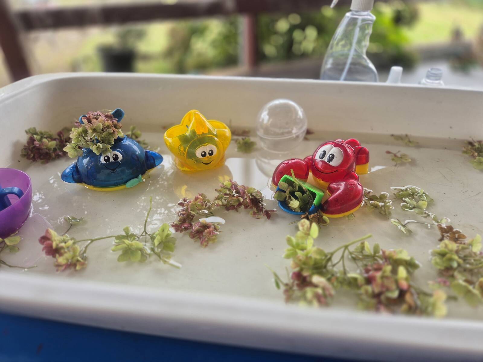 Sunflowers Family Day Care