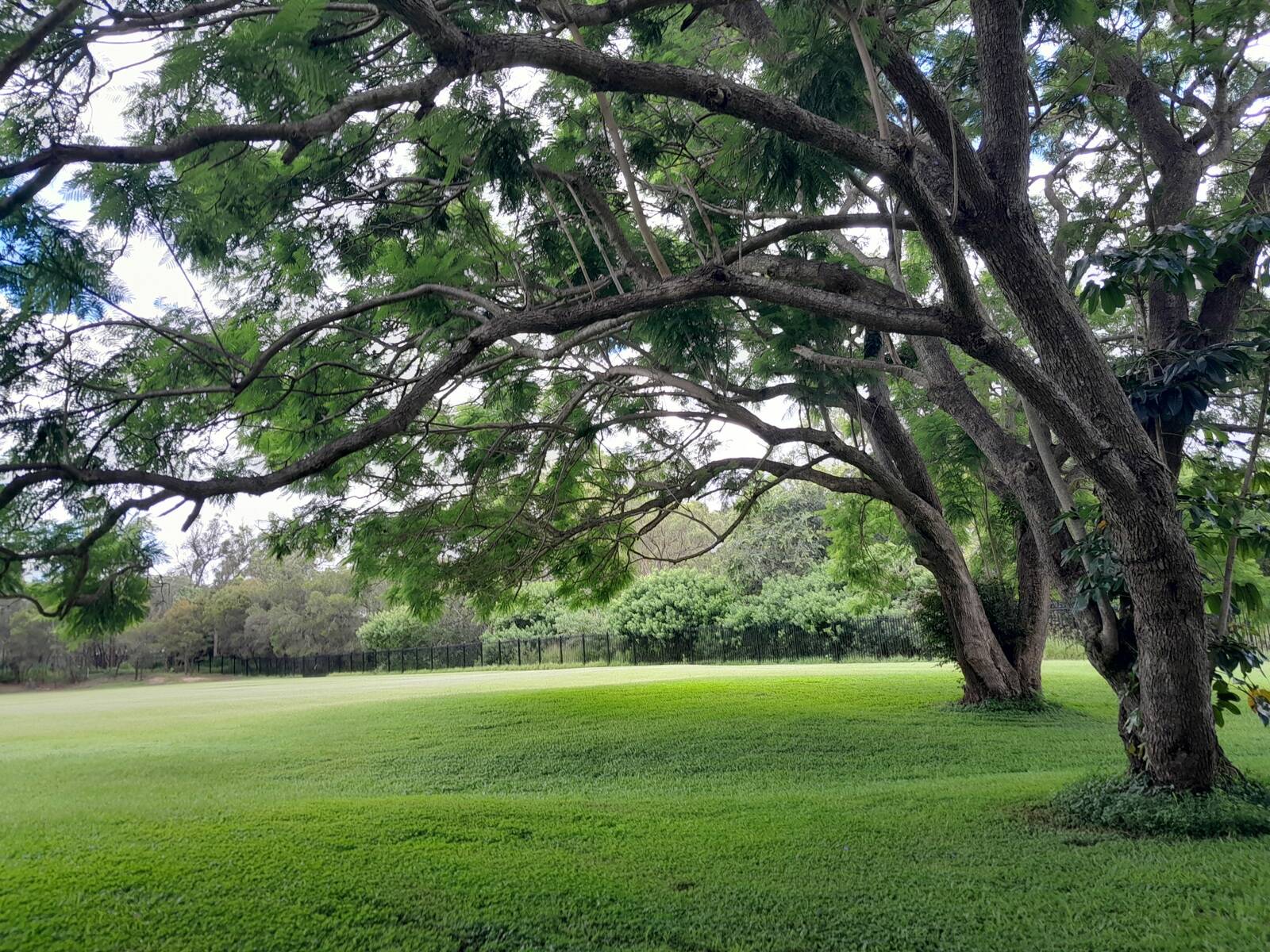 Burbank Bush Kindy Natural Childcare