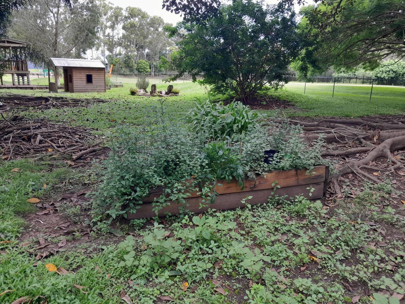Burbank Bush Kindy Natural Childcare