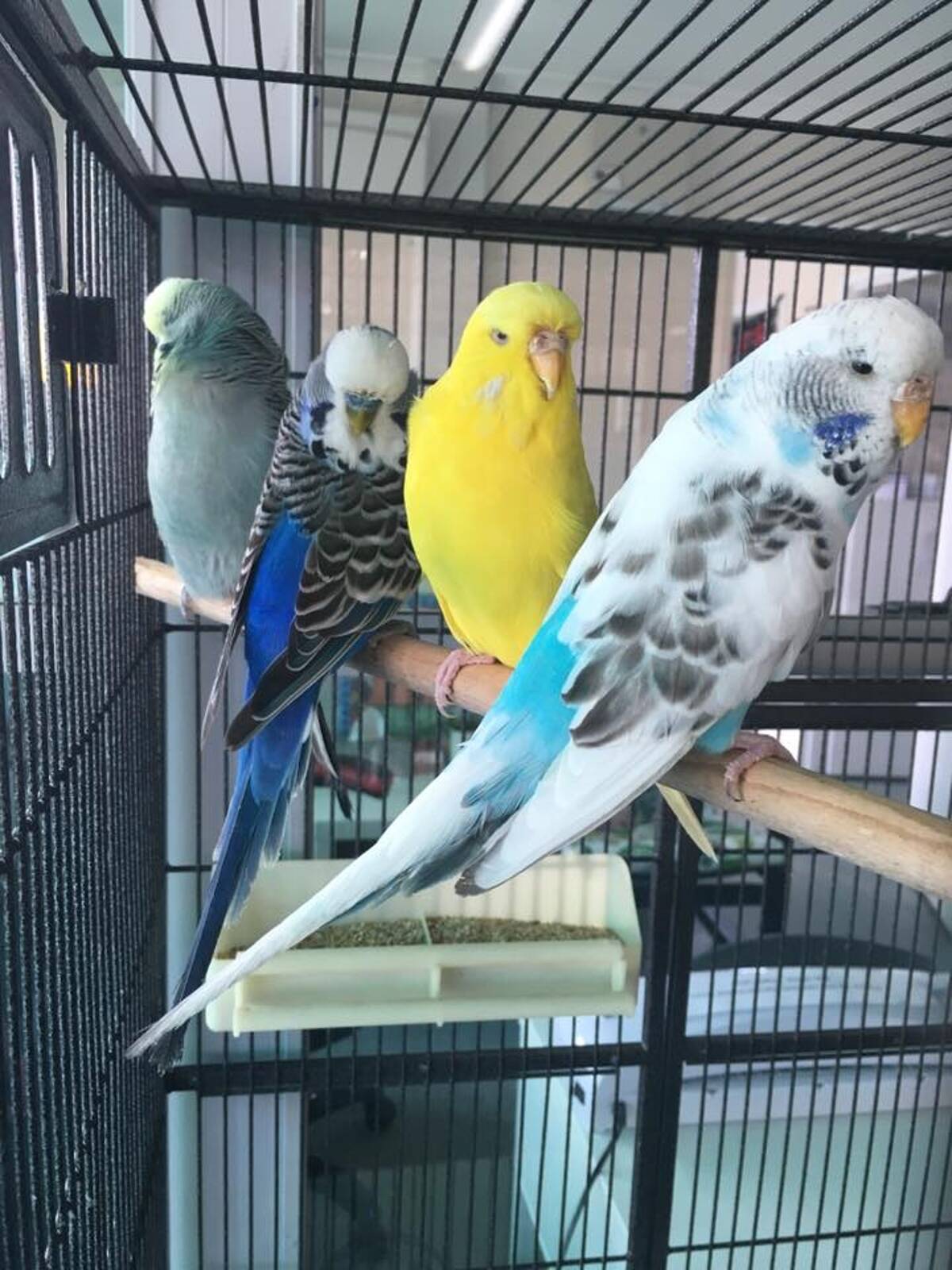 Little Big People Early Learning