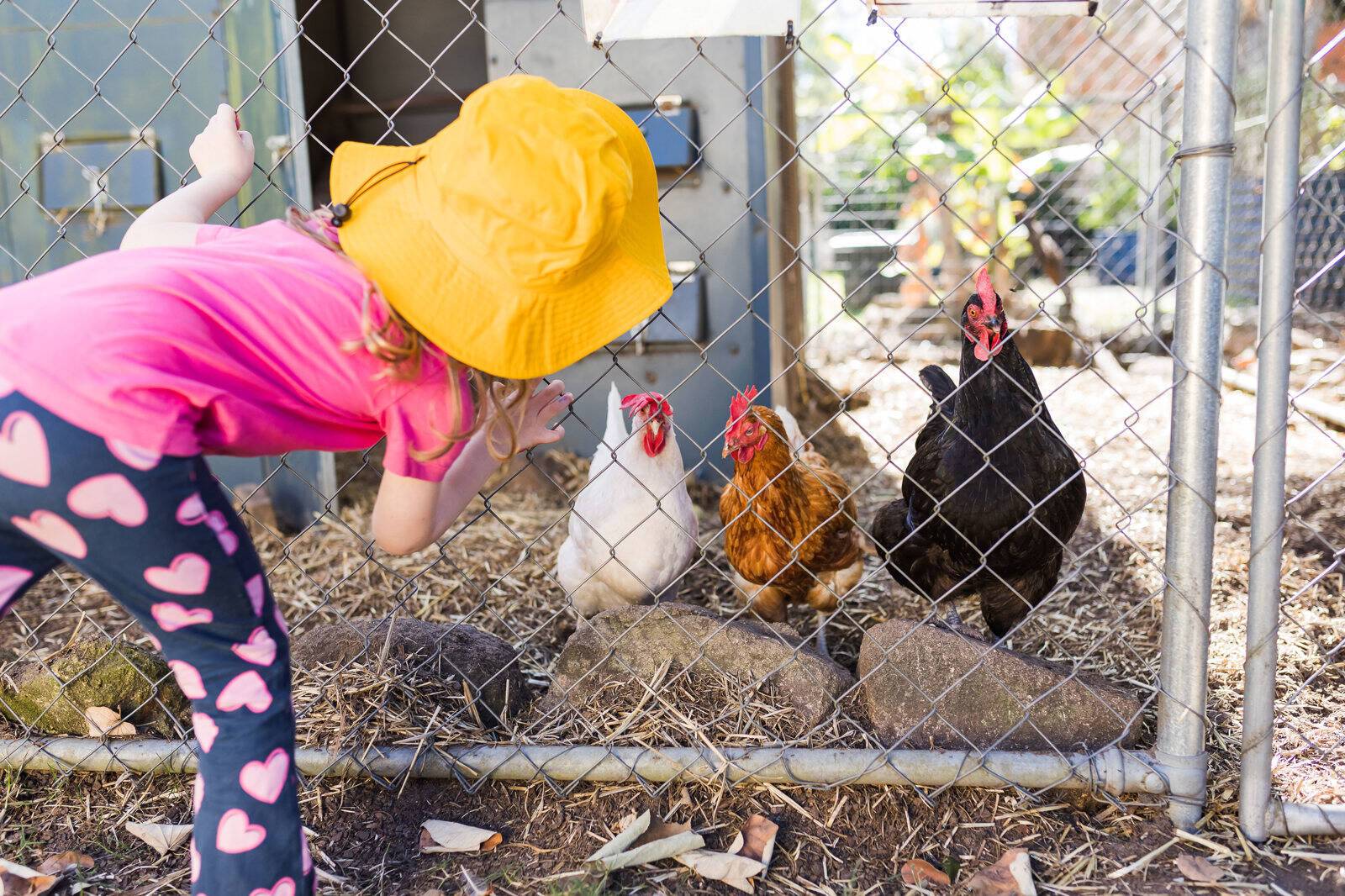 C&K Arana Hills Kindergarten