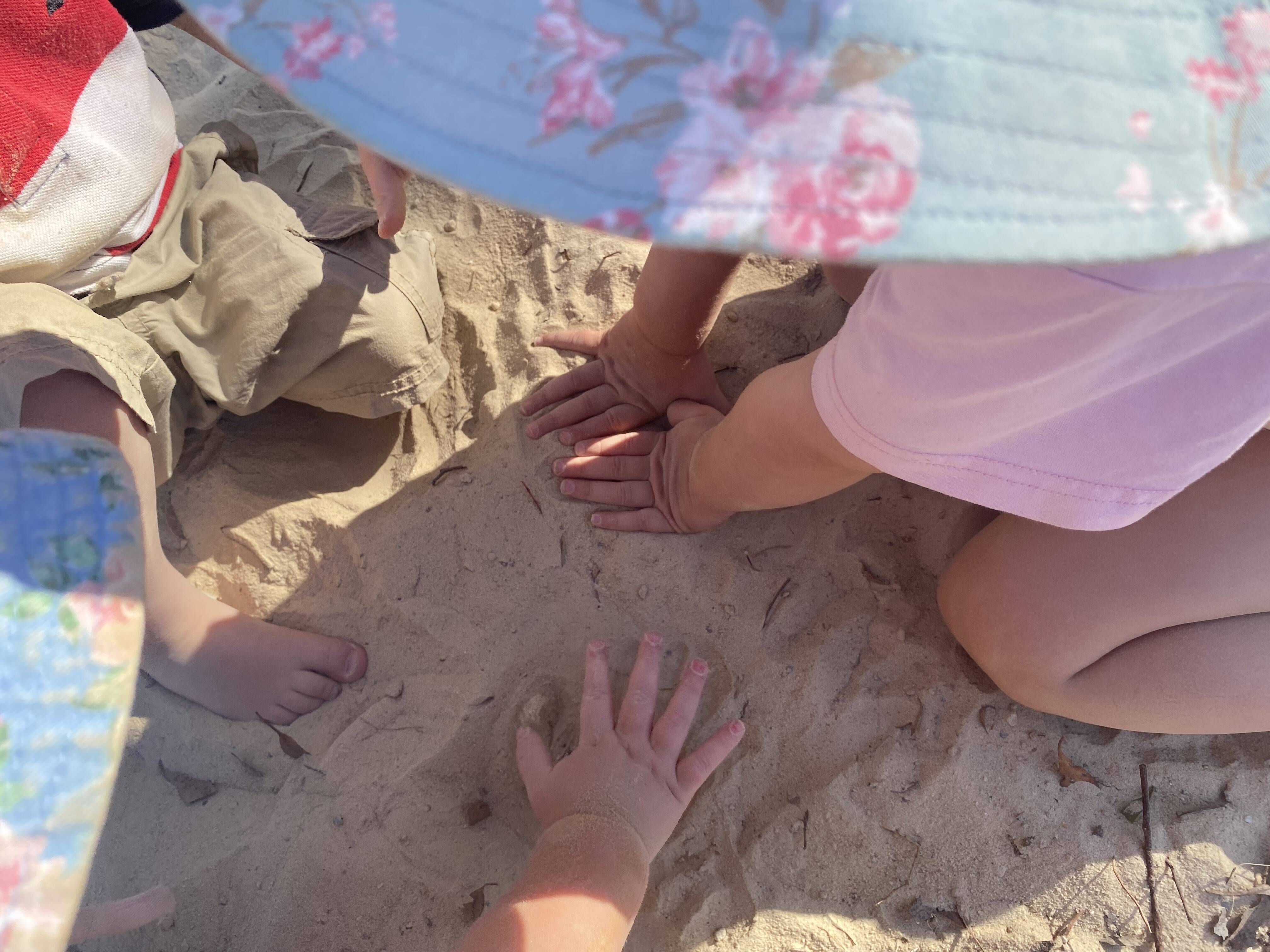 The Growing Tree Family Day Care