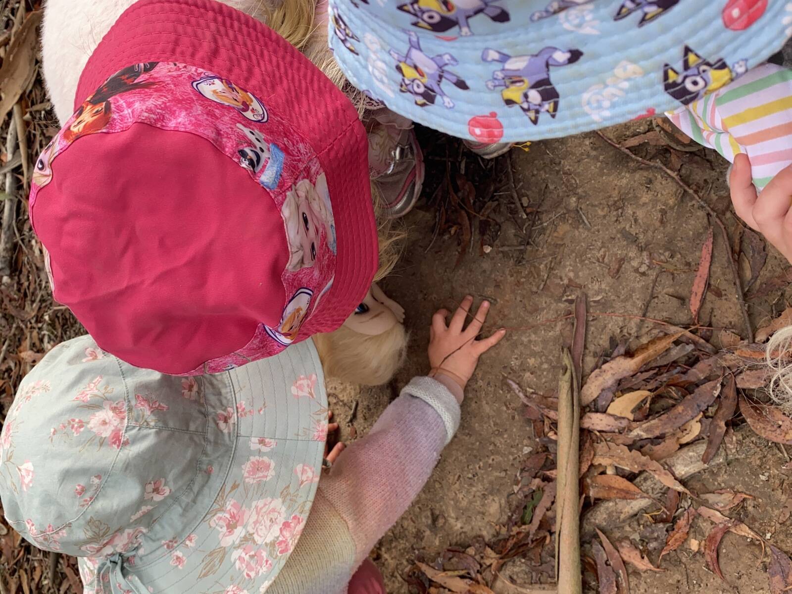 The Growing Tree Family Day Care