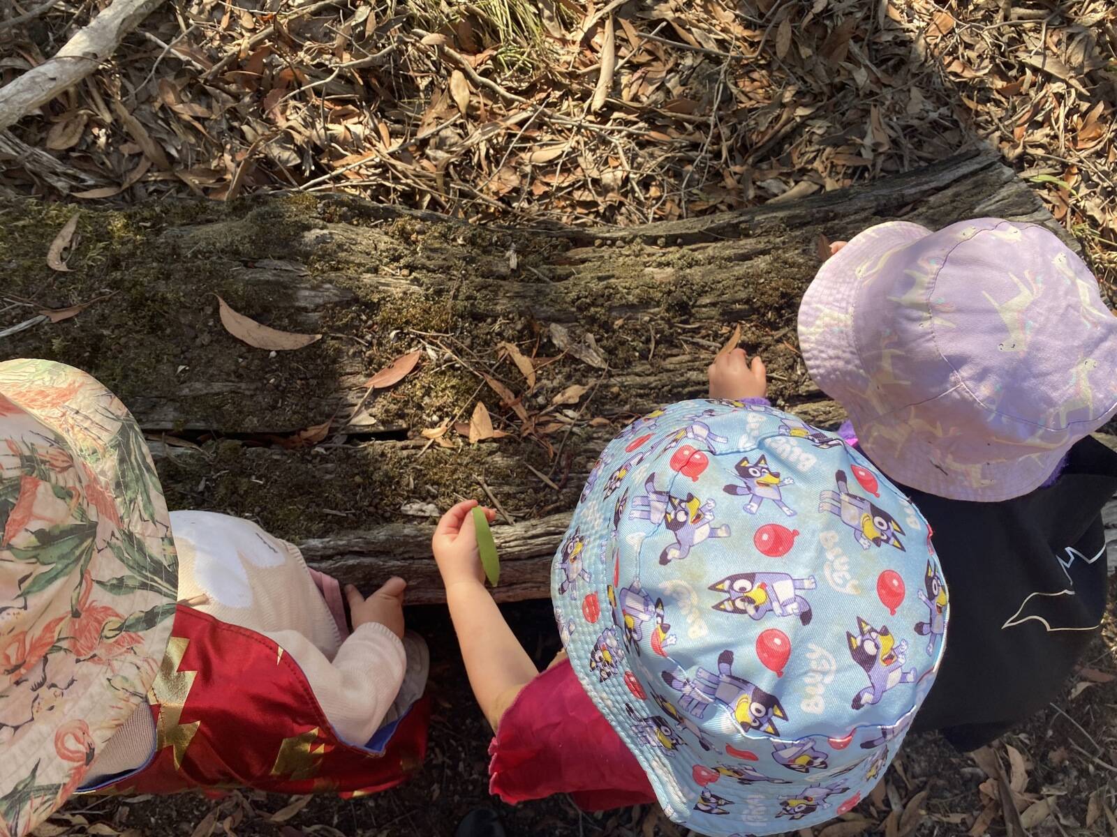 The Growing Tree Family Day Care