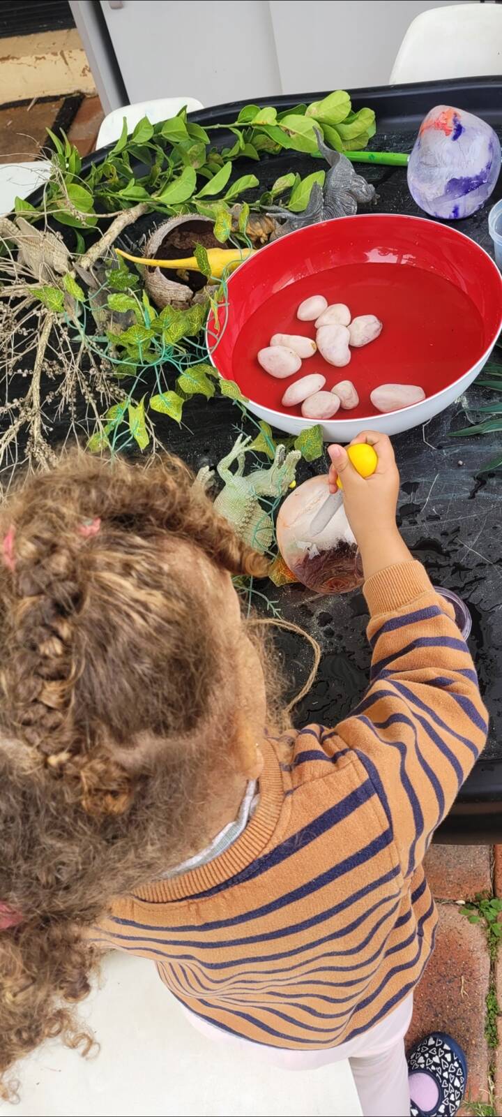 Blue Bird Family Day Care