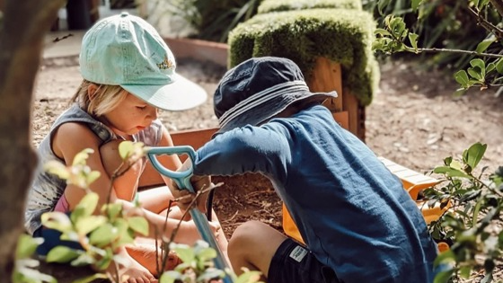 Kindy House Early Learning