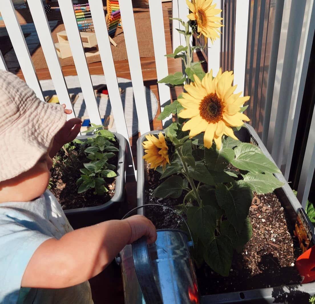 Kindy Place Early Learning Ashmore