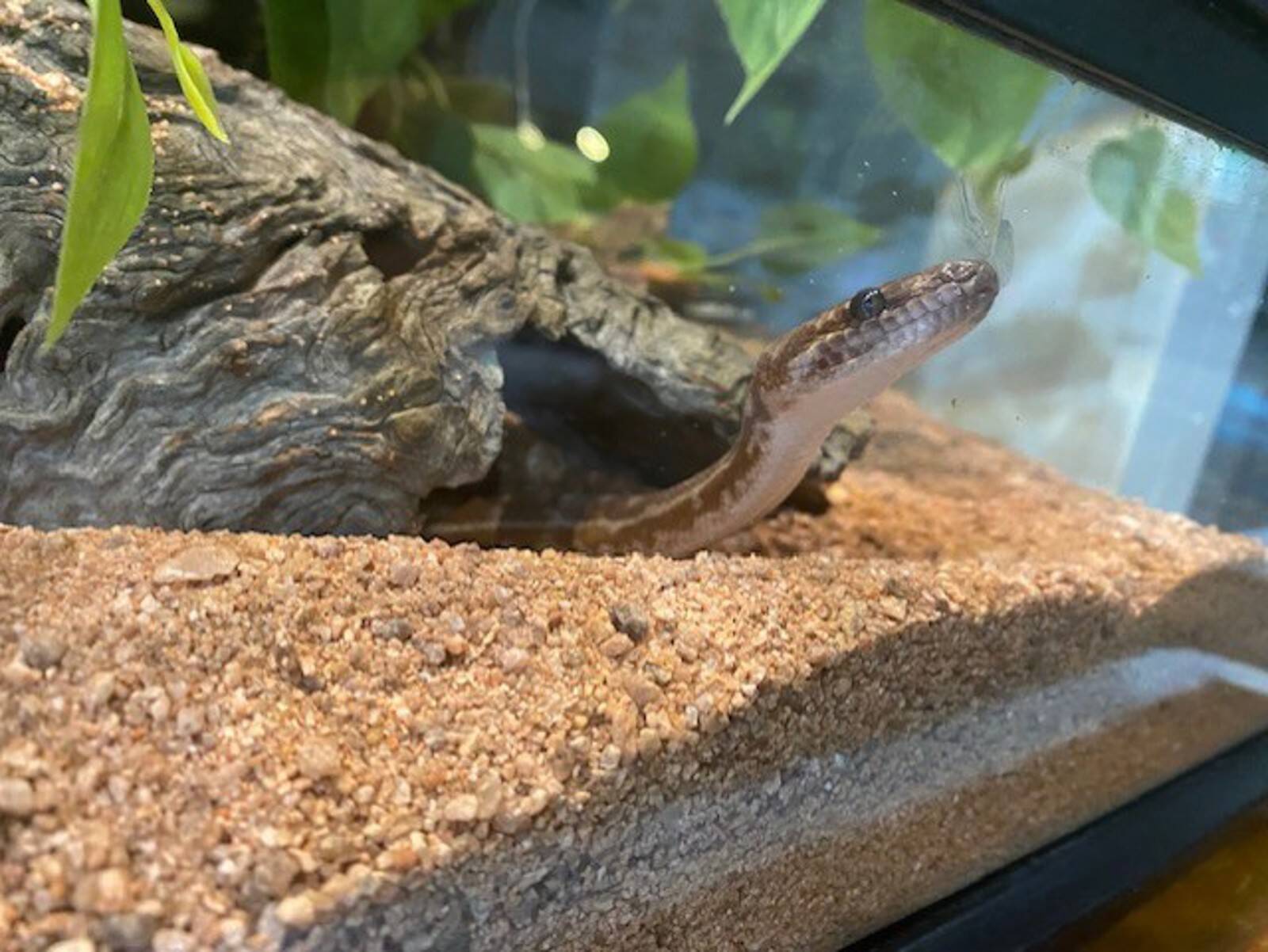 Lee's Family Day Care