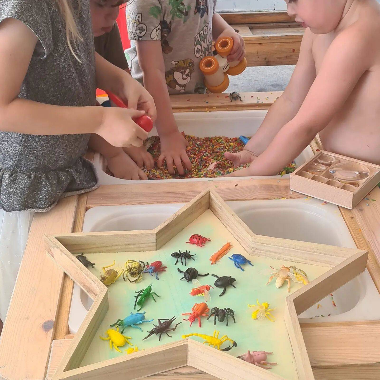 Corinne's Curious Caterpillars