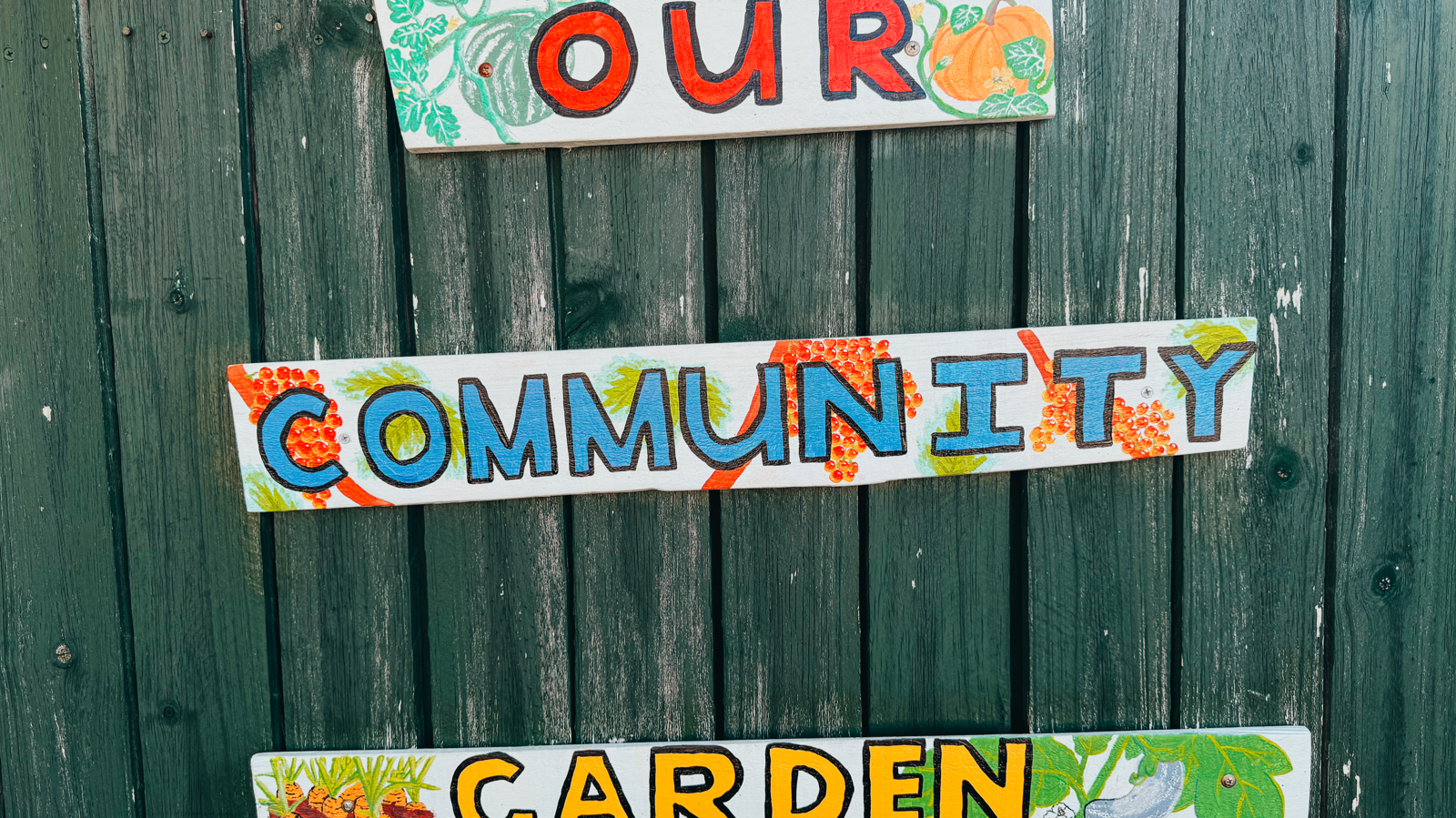 Country Kids Early Learning and Kindergarten Brighton