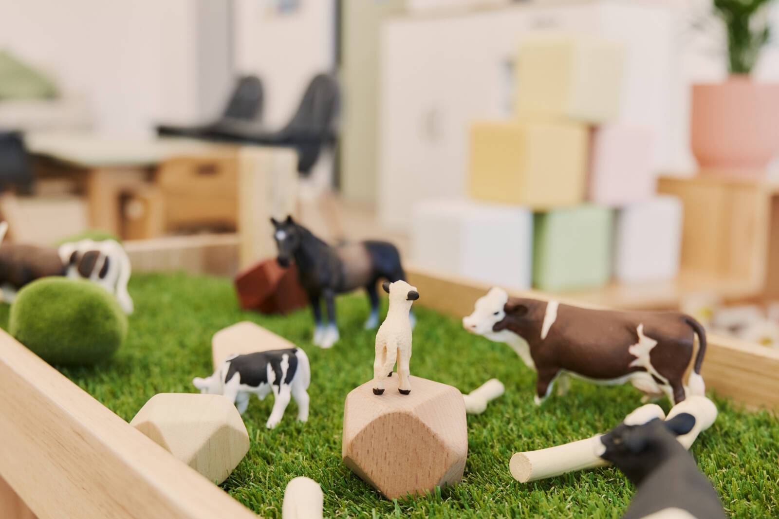 RP Child Care Centre Pty Ltd