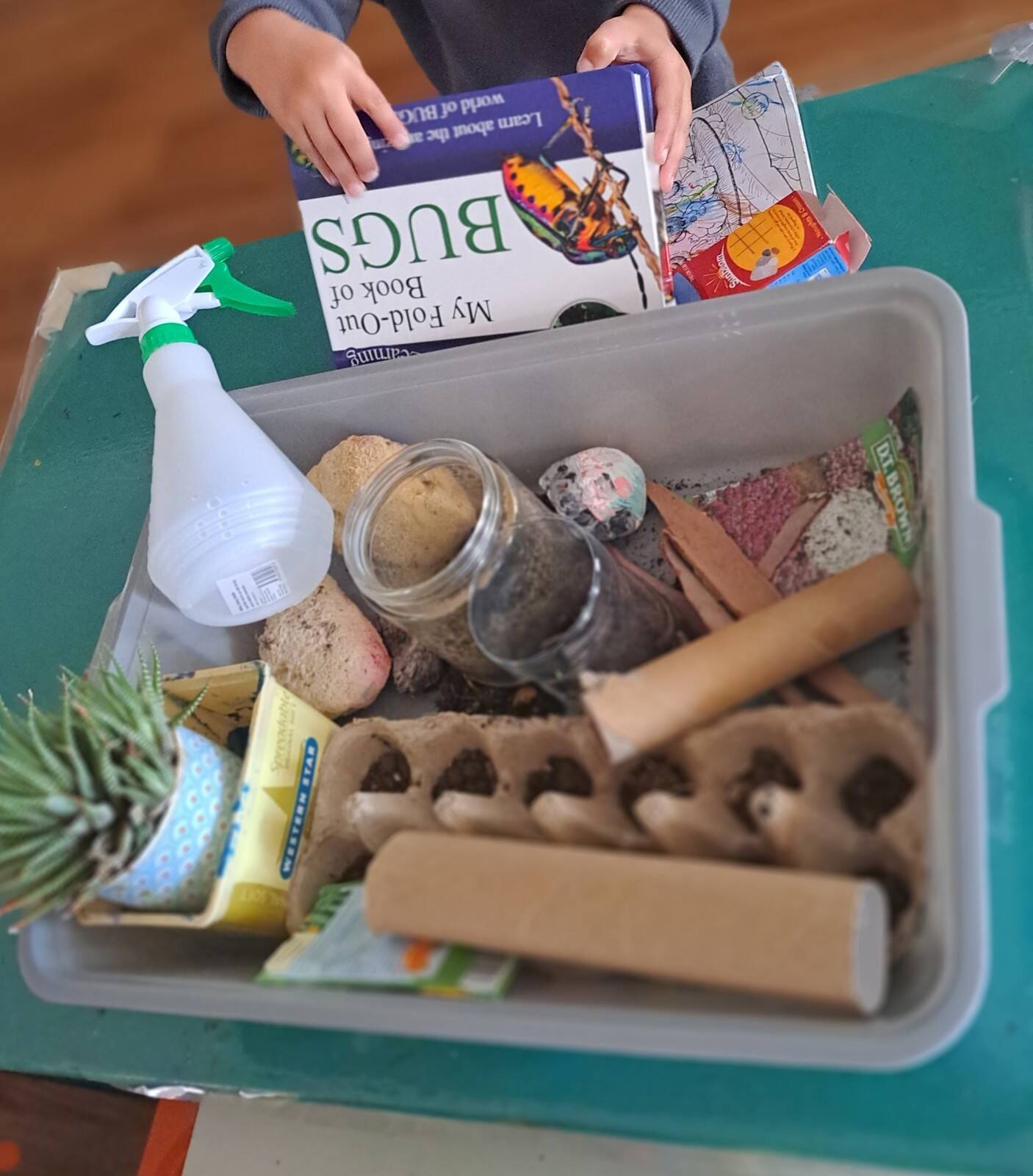 Let's Go Family Daycare With Evone