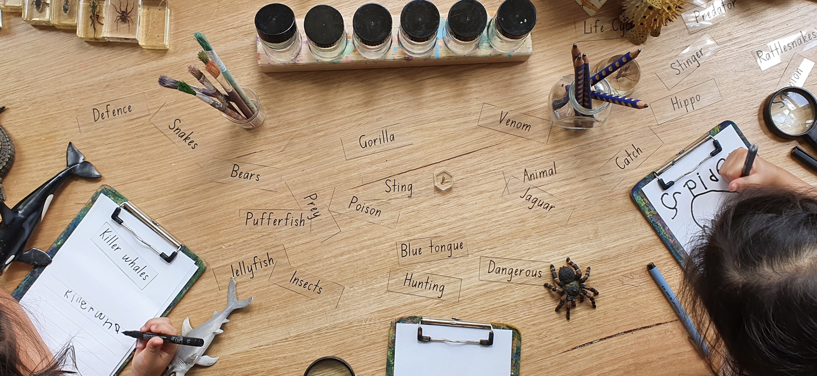 Bambini House Child Care and Pre-School