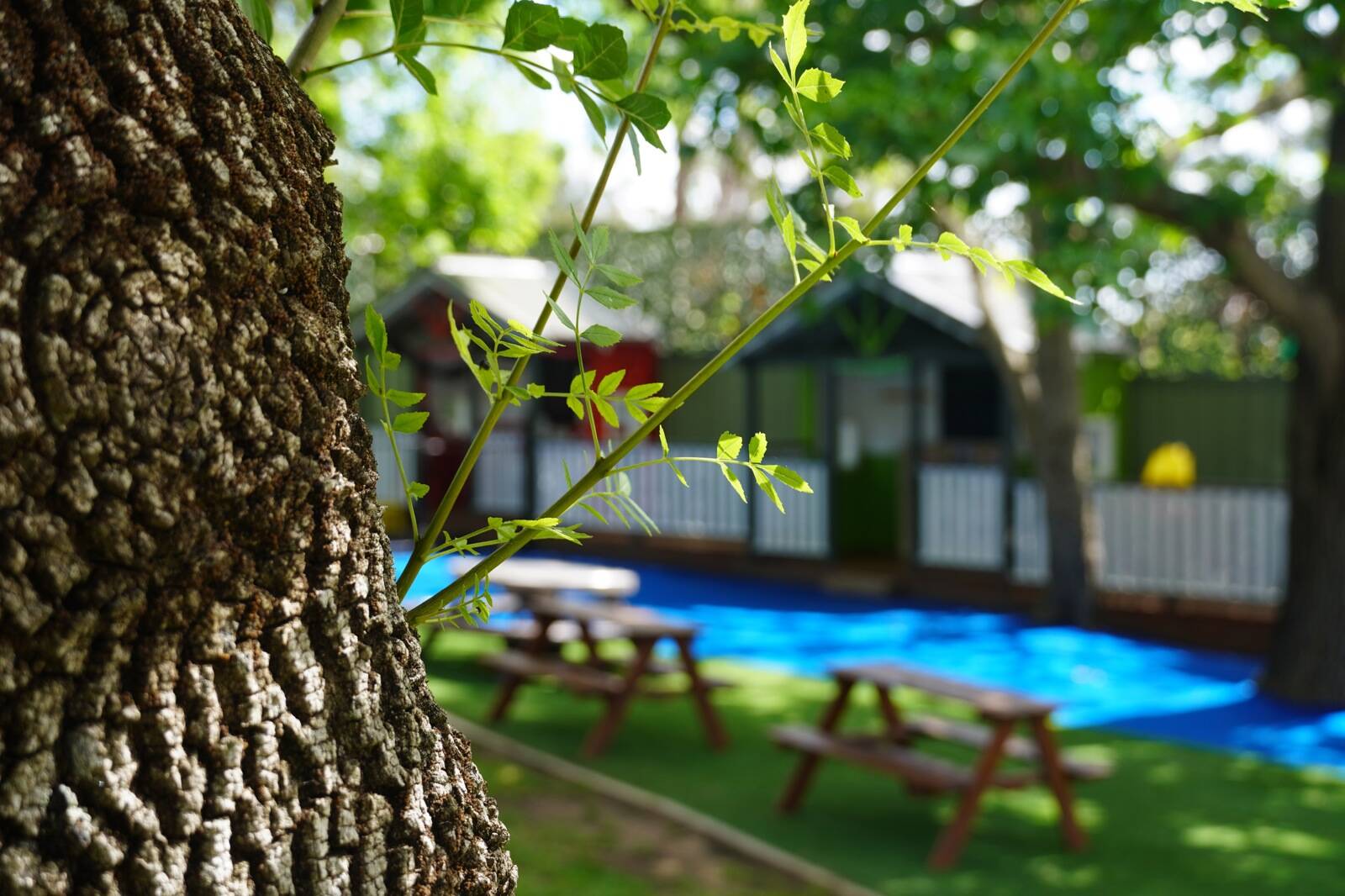 Annangrove Preschool Kindergarten