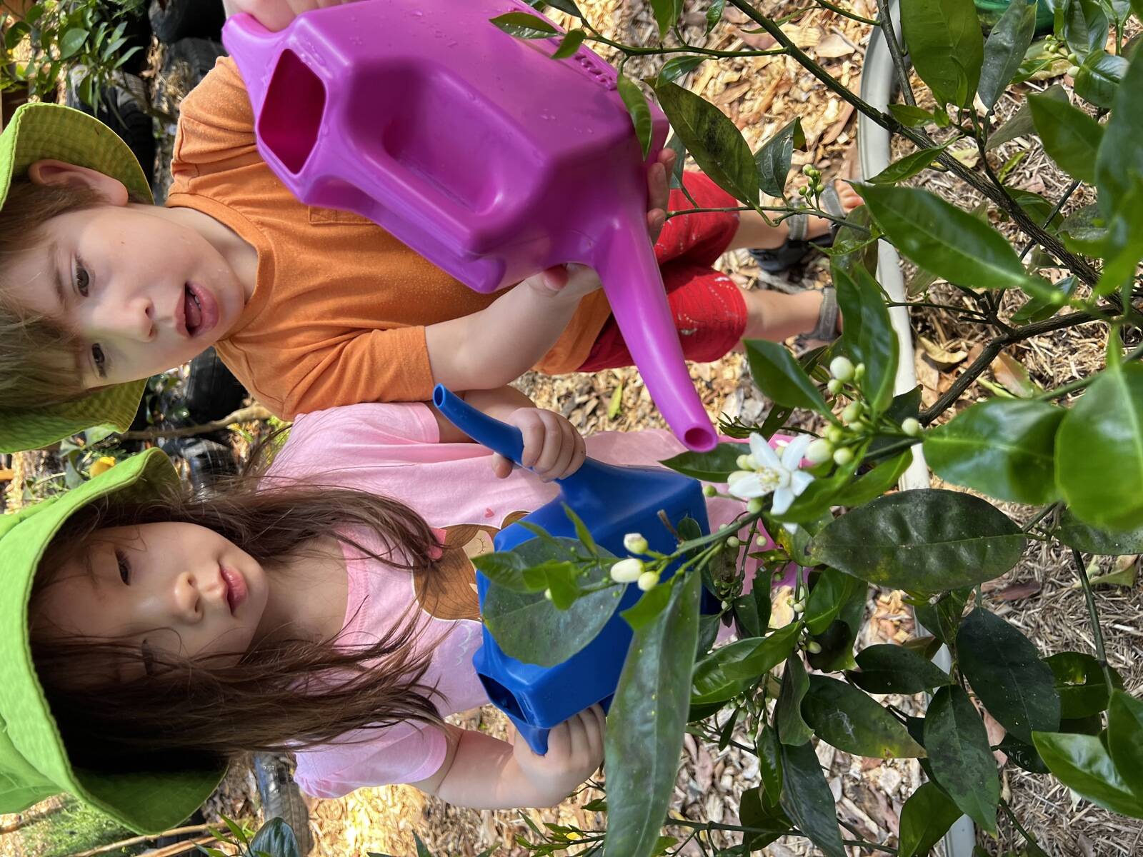 Fern Gully Child Care Centre