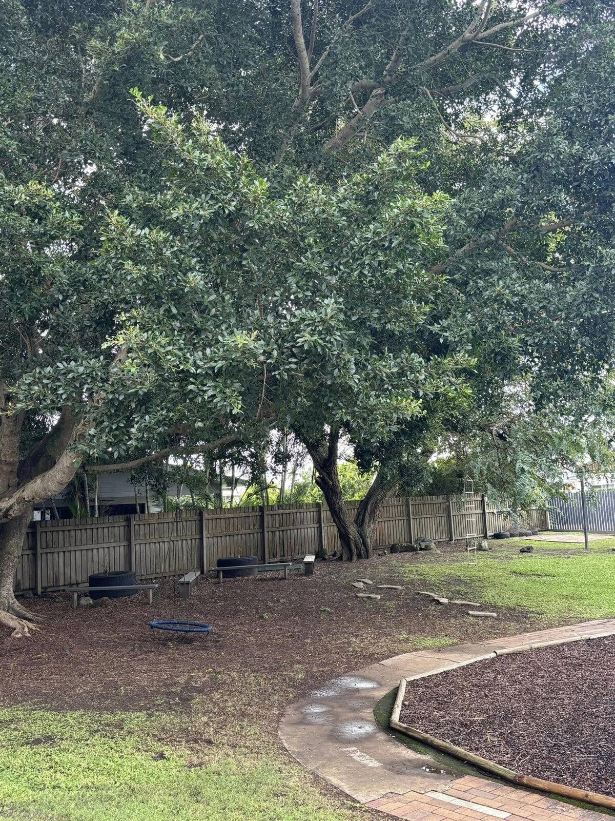 Creative Kids @ Bargara