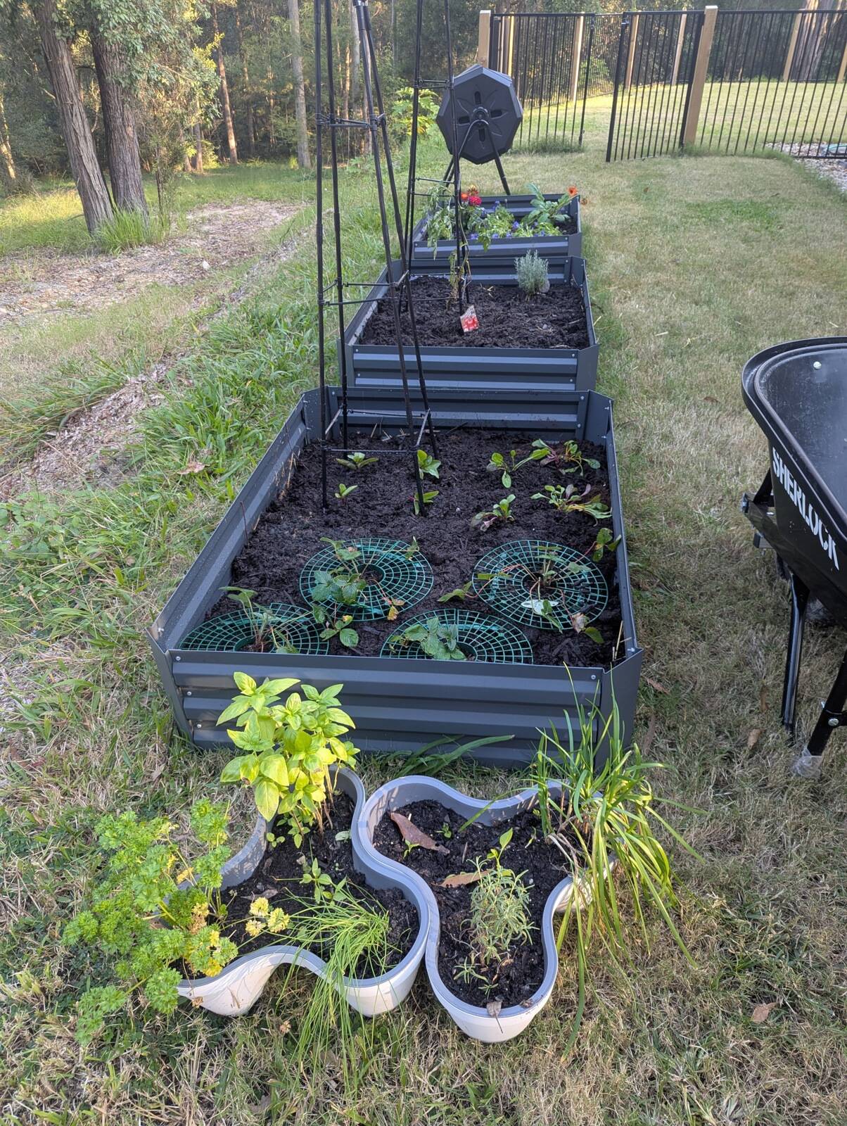 Madshaw Adventures Family Daycare