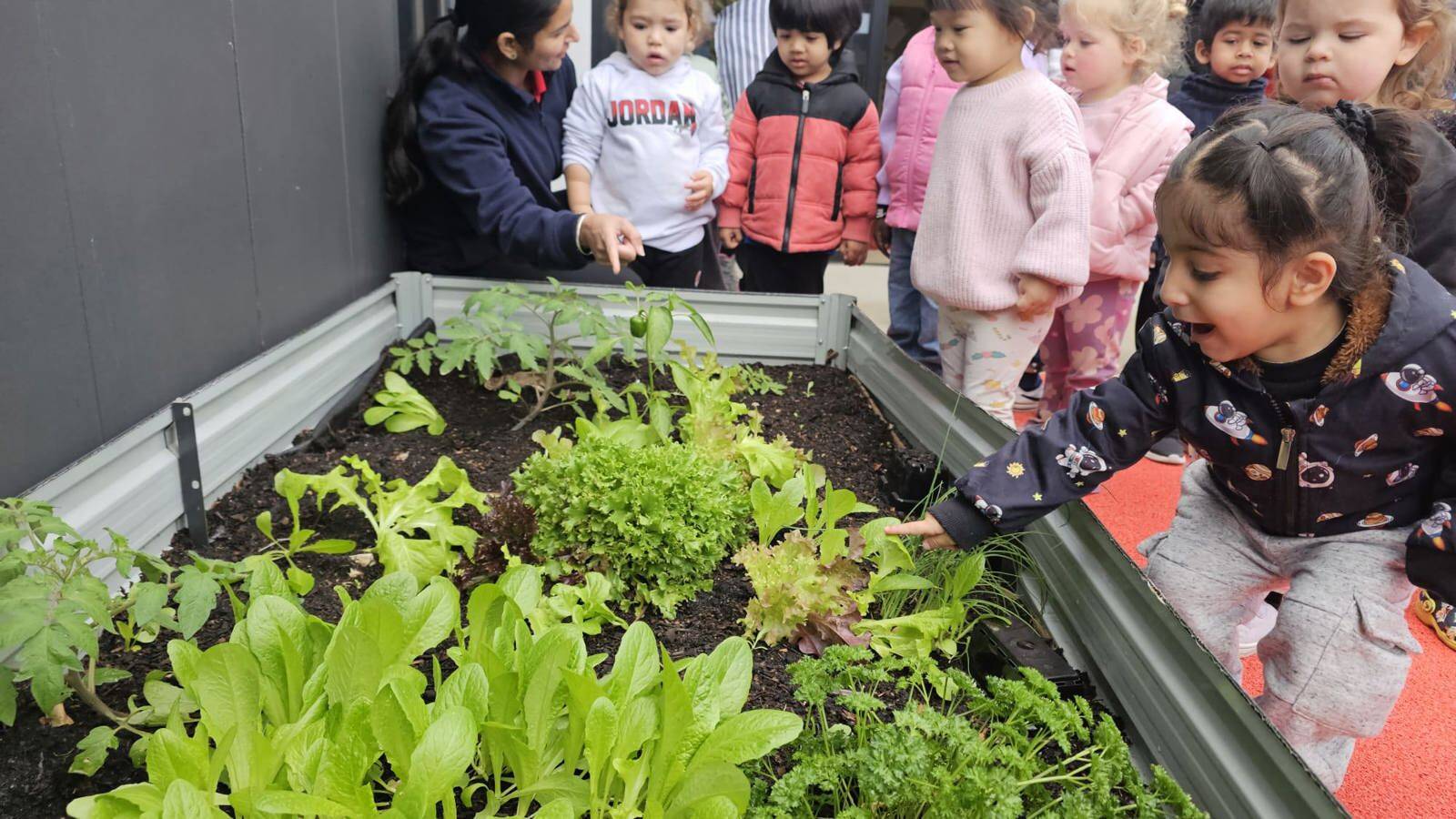 Mindchamps Early Learning & Preschool @ Melton