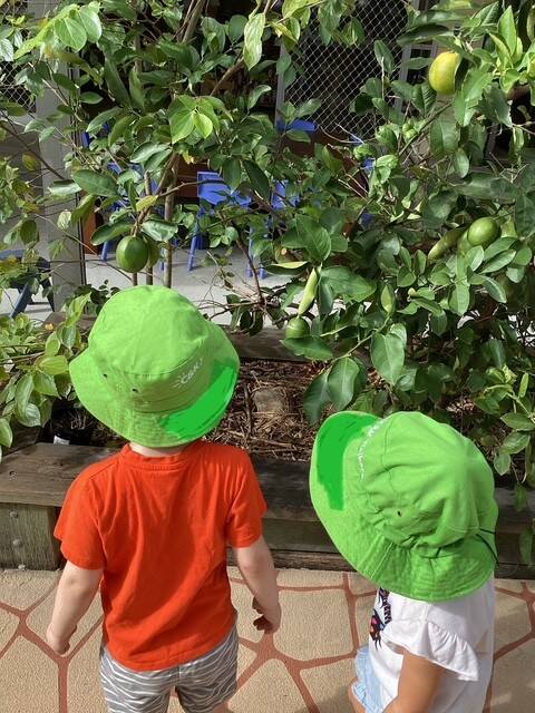 C&K Jinibara Community Kindergarten