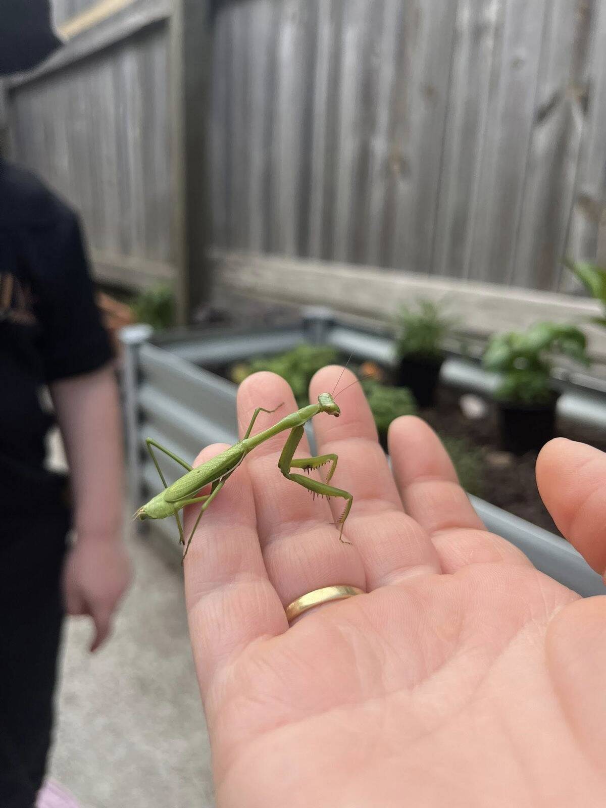 Hatchlings Family Daycare Coomera