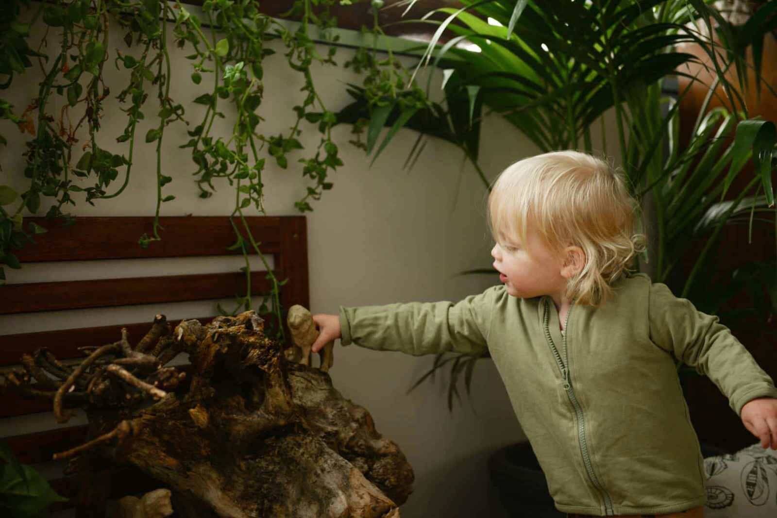 Evoke Early Learning Albert Park