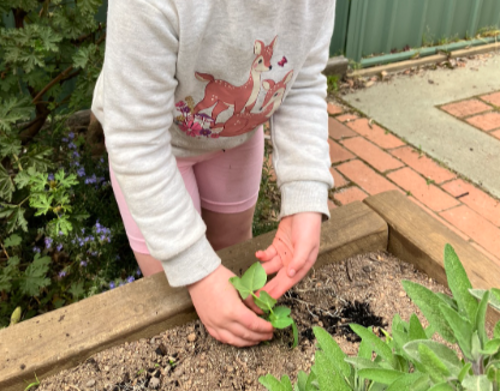 Nagambie Pre-School and Childcare Centre