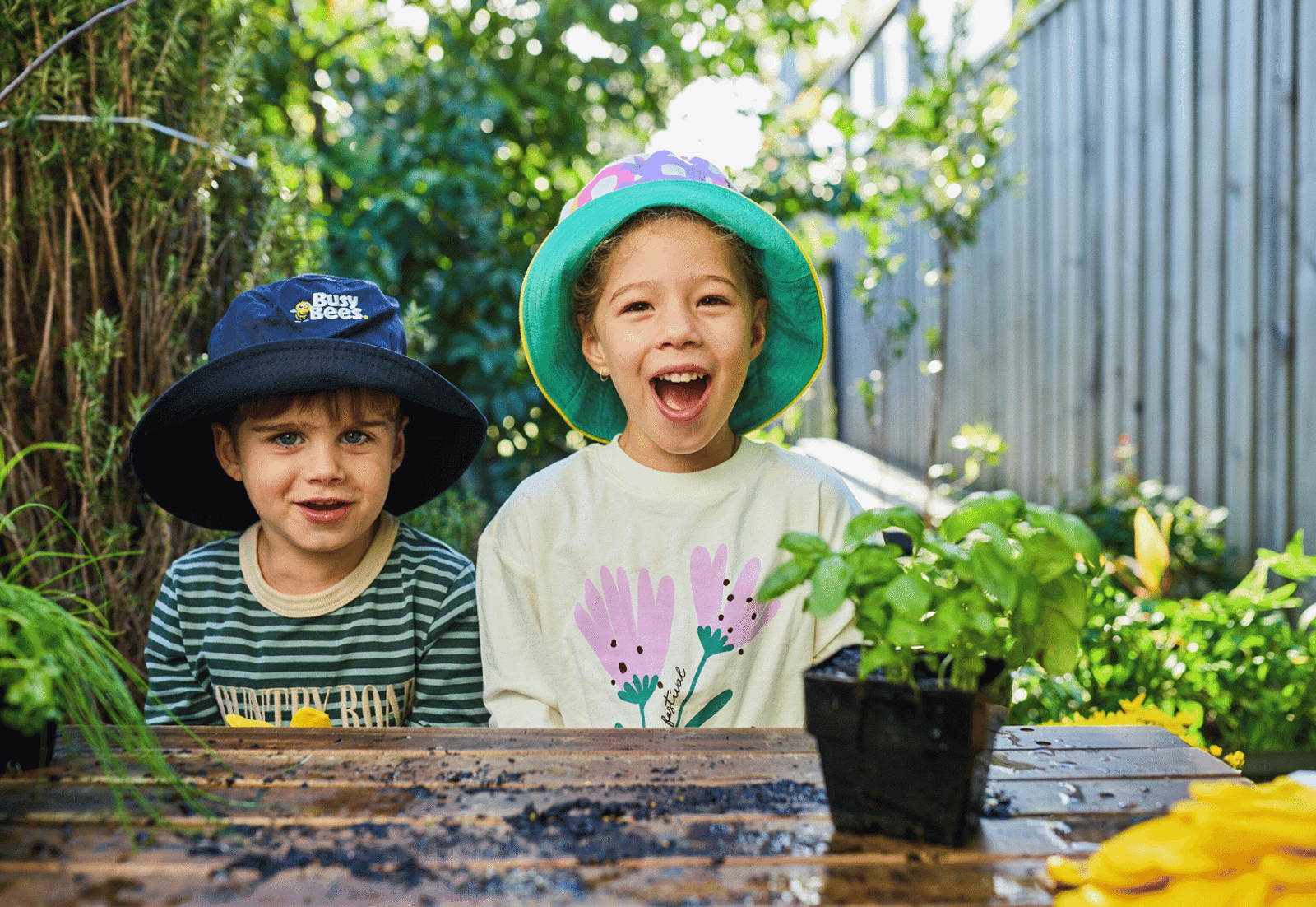 Busy Bees at Armstrong Creek