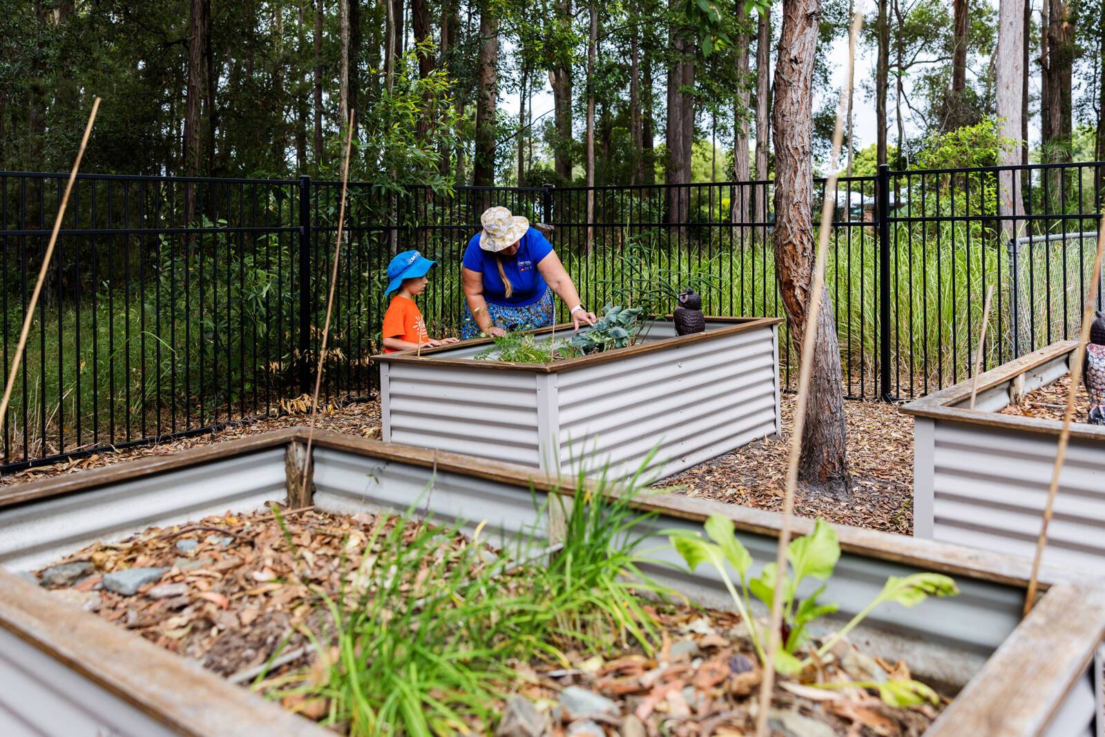 C&K Mountain Creek Community Kindergarten
