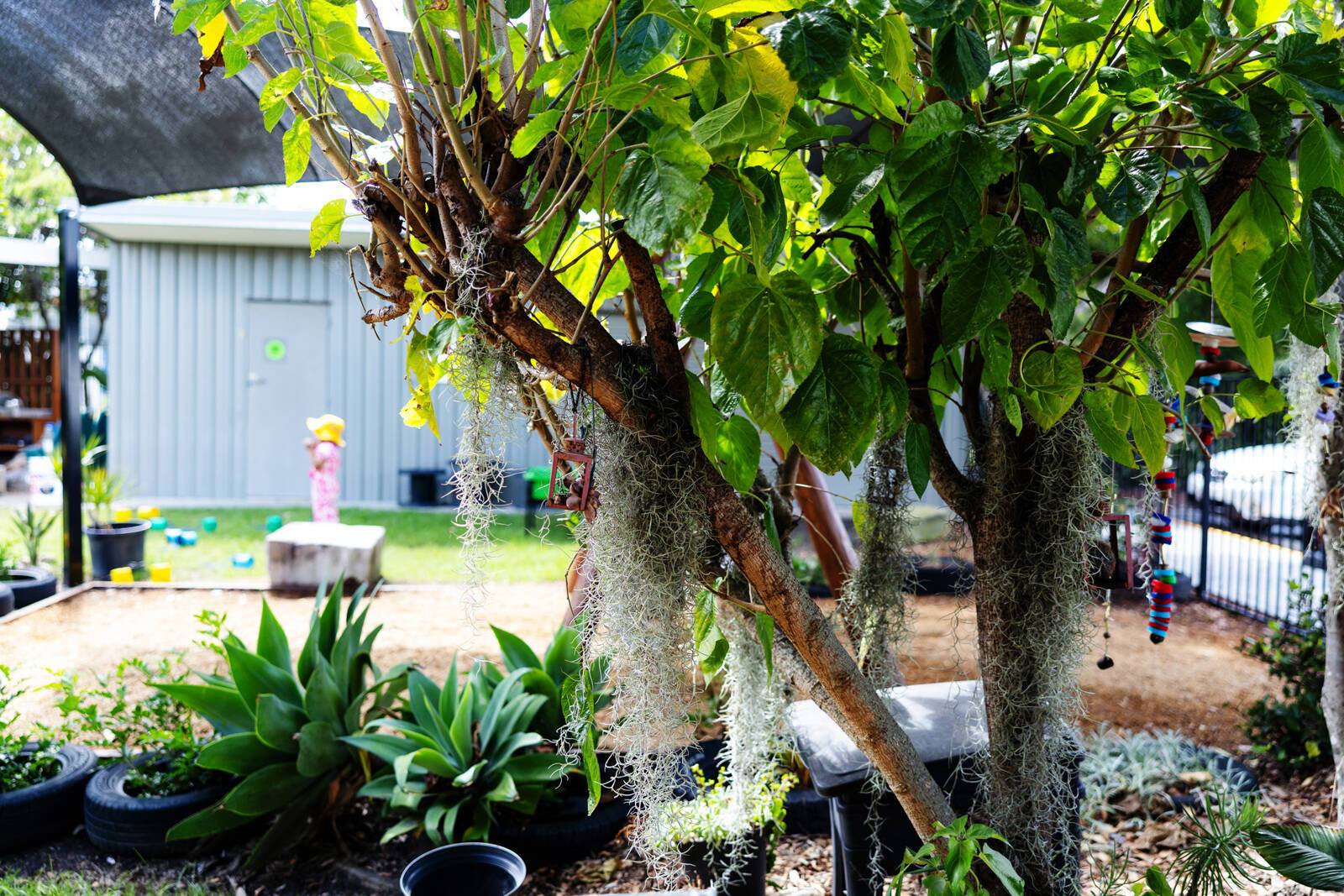 C&K Kingston Community Kindergarten