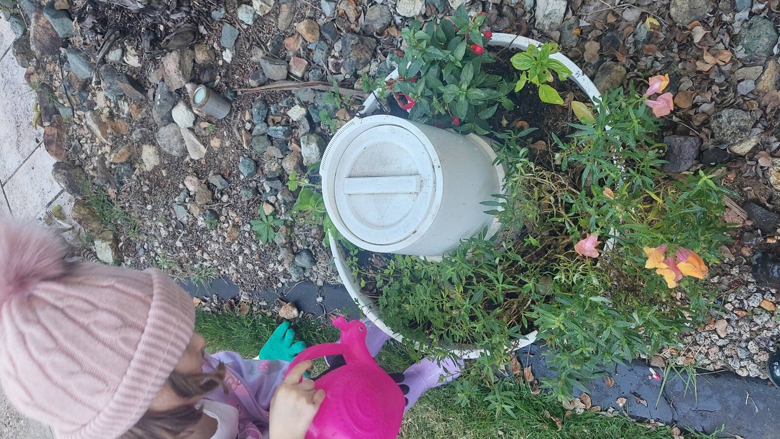 Alice In Kinderland Family Day Care