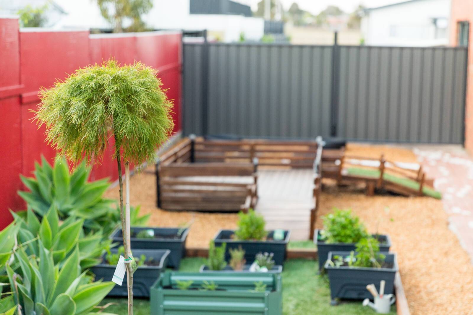 Academy of Early Education - Sydenham