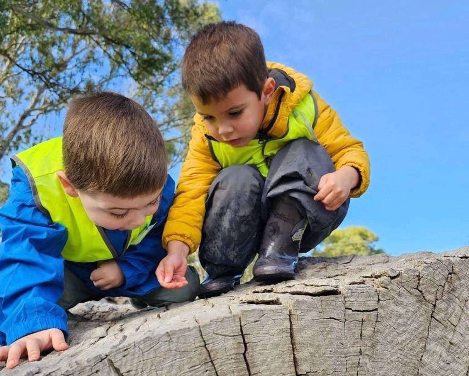 Laurimar Township Childcare and Kindergarten