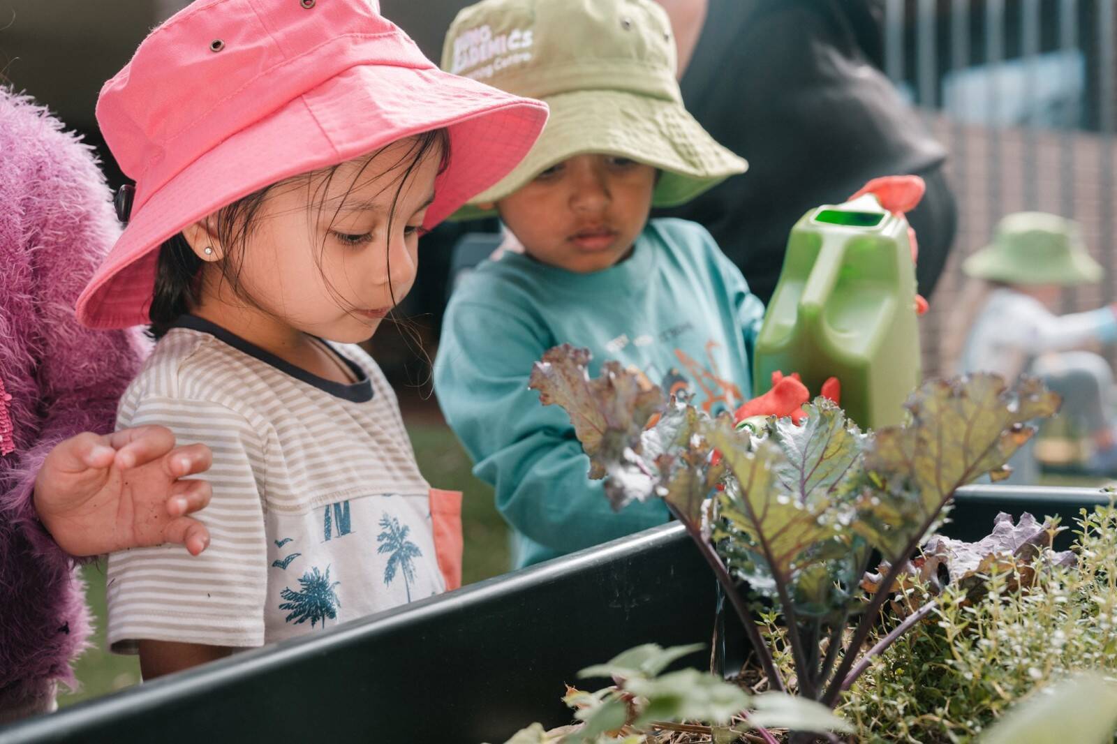 Young Academics Early Learning Centre Baulkham Hills, Owen Ave