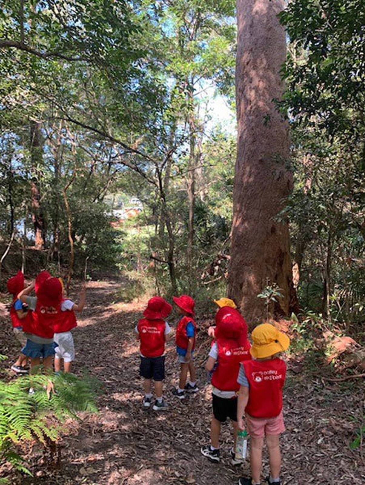 Oatley Red Bear Preschool