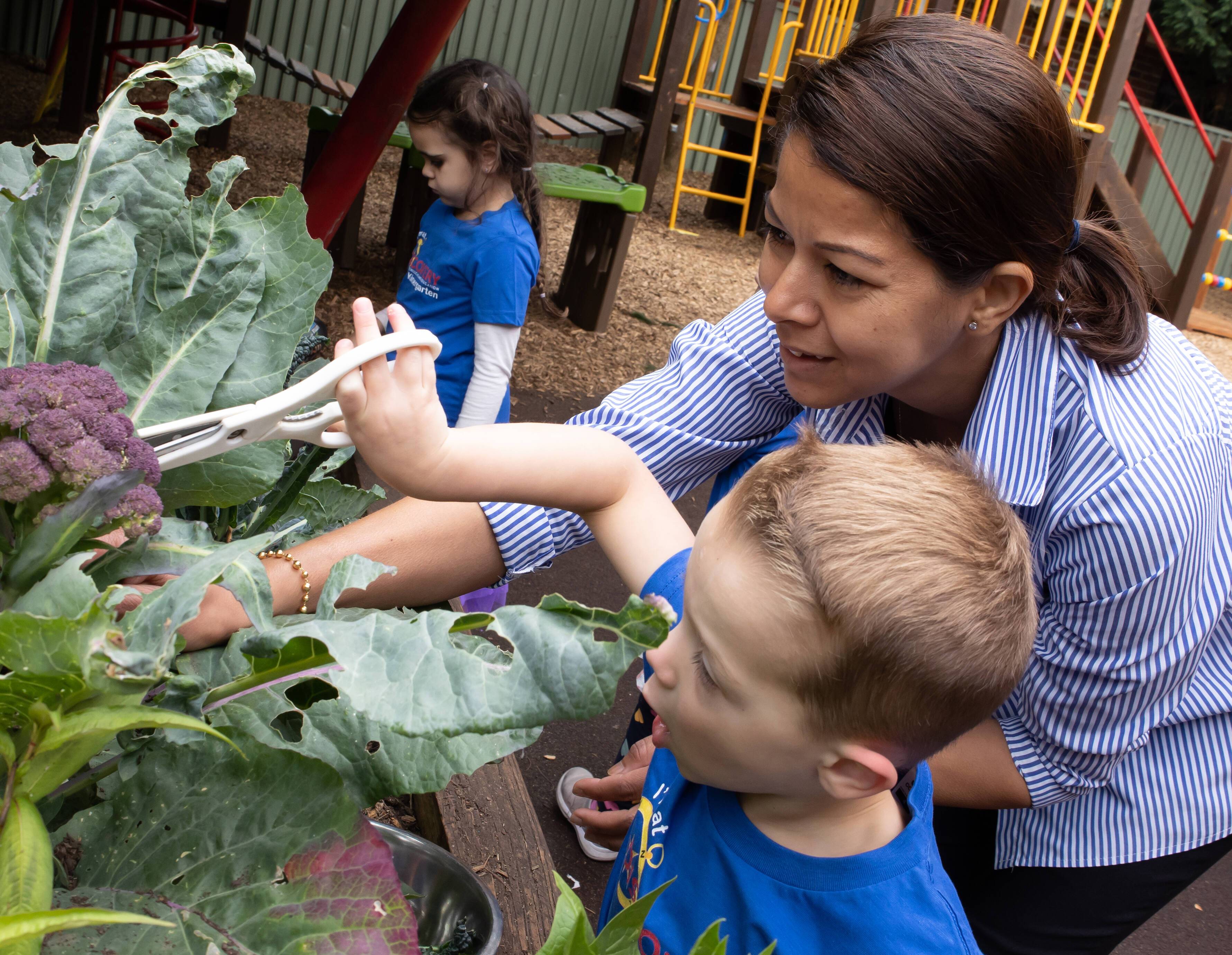 Discovery Childcare and Education (Ringwood)