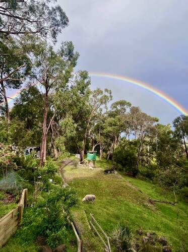 Ellie's Family Daycare Healesville